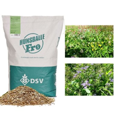 Blomster og bestøverbrak 