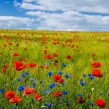 Blomster og Blomsterblandinger