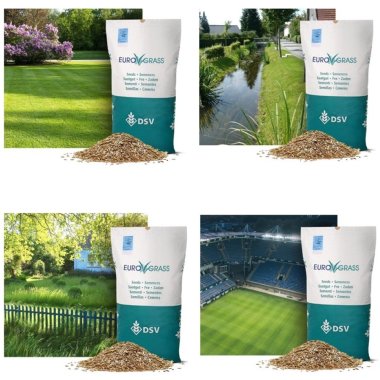 Plnegrsfr og Naturgrsfr