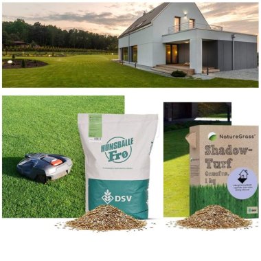 Græsfrø til villahaver og græsplæner