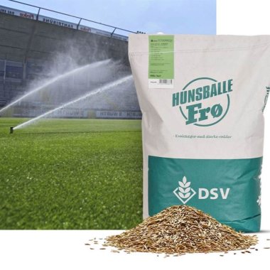 Græsfrø til Sport og Boldbaner 