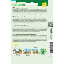 Basilikum, rd, Bordeaux