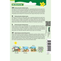 Lavendel, bl, krydderurtefr