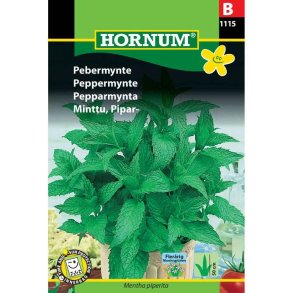 Pebermynte