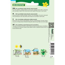 Persille. Glatbladet 