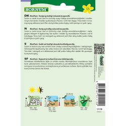 Persille, Krus, Mooskraus. MaxiPack