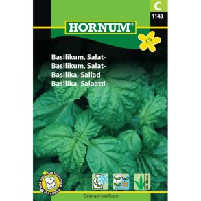 Basilikum, Salat