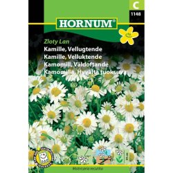 Kamille, Vellugtende