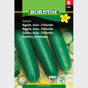 Agurk, Asie, Frilands - Faktum 