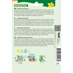 Salat Agurk, Euphya F1