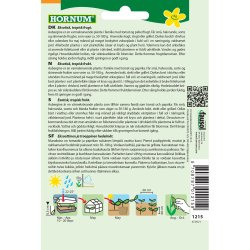 Aubergine, Kaberi F1