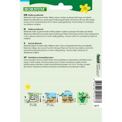 Bladbede, Rhubarb Chard