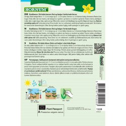 Bnne, Busk-, Borlotto rosso