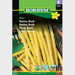 Bnne Gul. Phaseolus vulgaris nanus