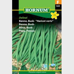 B�nne, Busk. Haricot verts