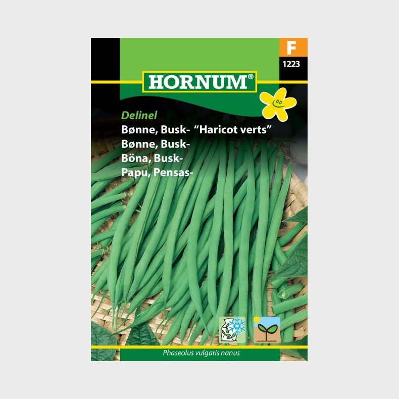 Bnne, Busk. Haricot verts