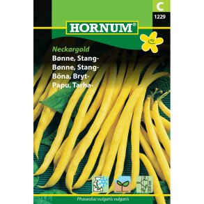 Gul Bnne, Stang-, Neckargold