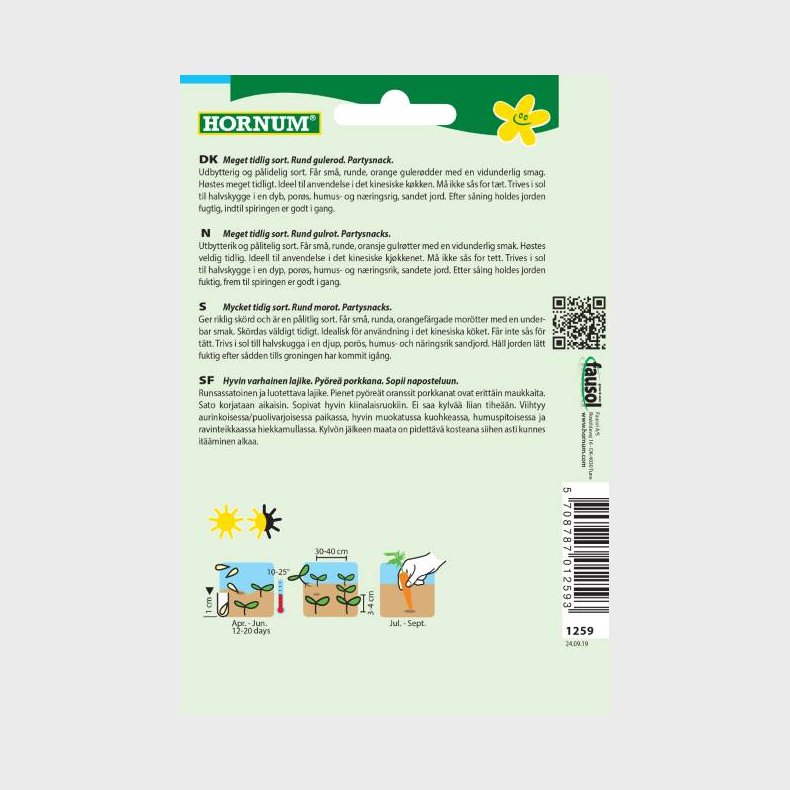 Gulerod, - Daucus carota