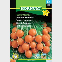 Gulerod, - Daucus carota