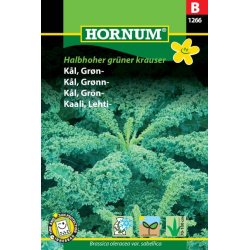 Grnkl, Halbhoher grner krauser
