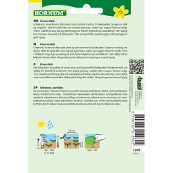 Kl, Hvid, Vinter, Brunswick