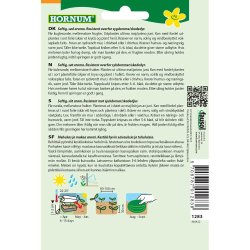 Melon, Sukker-, Masada F1 Hybride