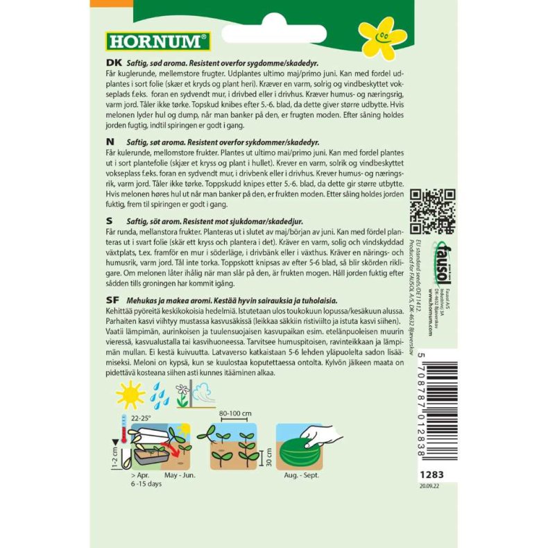 Melon, Sukker-, Masada F1 Hybride