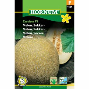 Melon, Sukker-, Masada F1 Hybride