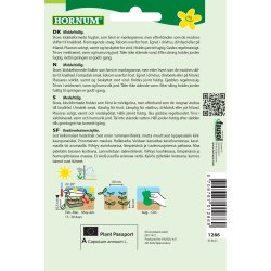 Peberfrugt, California Wonder