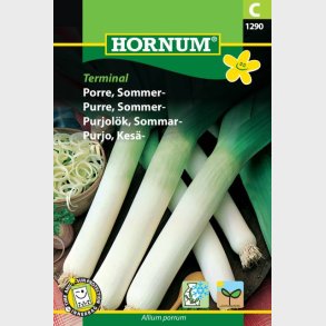 Porre, Sommer-, Terminal (Allium porrum)