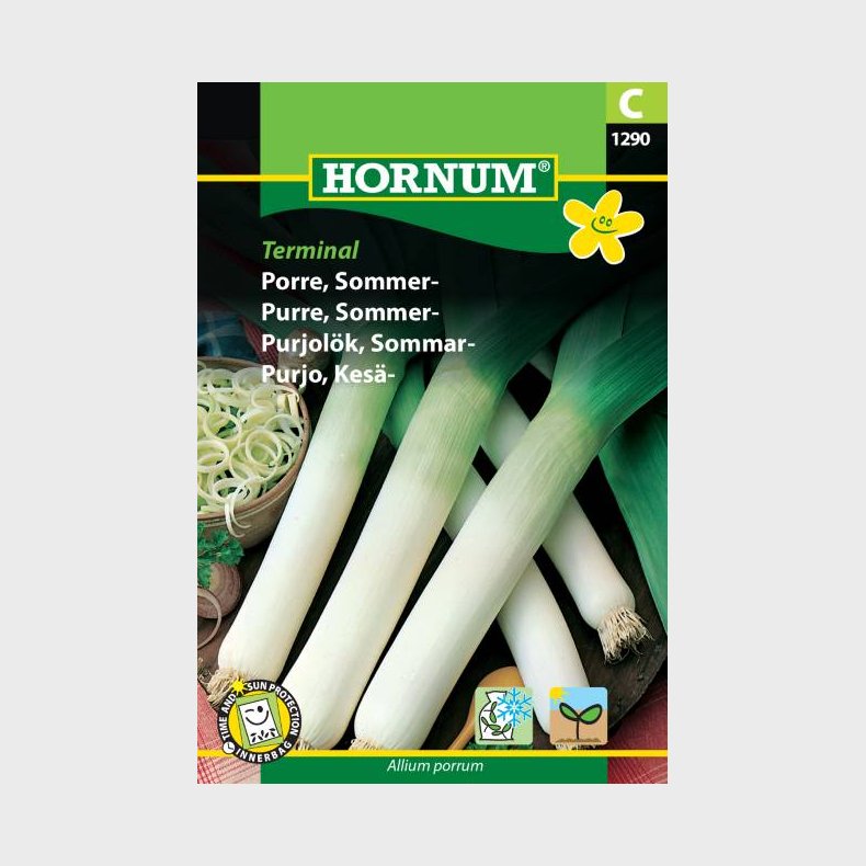 Porre, Sommer-, Terminal (Allium porrum)