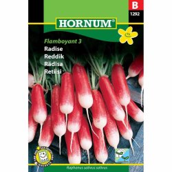 Radise. Flamboyant 3