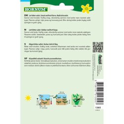 Salat, Cikorie-, Palla Rossa 2