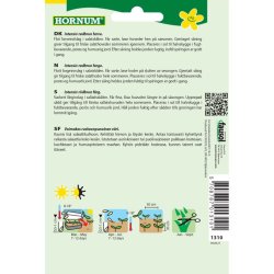 Salat, Hoved-, Merveille des q. S.