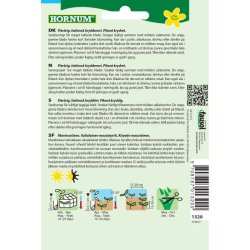 Rucola salat, Sandsennep Wilde