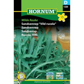 Rucola salat, Sandsennep Wilde