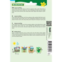 Selleri, Blad-, Tall Utah