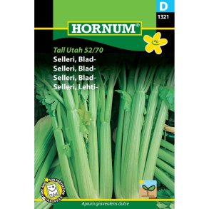 Selleri, Blad-, Tall Utah