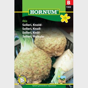 Selleri, Knold-, Ibis