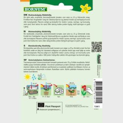 Tomat, Blomme-, Ravello F1