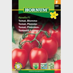 Tomat, Blomme-, Ravello F1