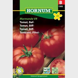 Tomat, Bf-, Marmande (Lycopersicon esculentum L.)