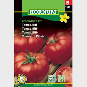 Tomat, Bf-, Marmande (Lycopersicon esculentum L.)