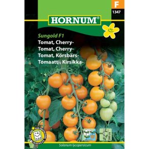 Tomat, Cherry-, Songold F1