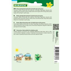 Salat, Blomster-, blanding