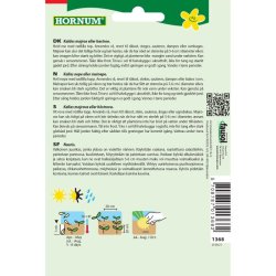 Majroe, Ronde Witte Roodkop