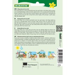 Lg, Skalotte-, Zebrune