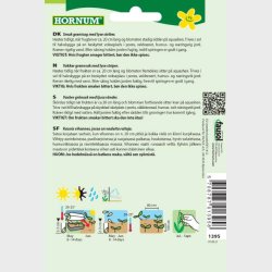 Squash, Coucourzelle