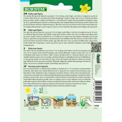 Melon, Pre. Solanum muricatum Aiton