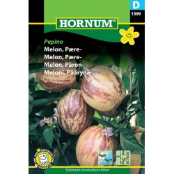 Melon, Pre. Solanum muricatum Aiton